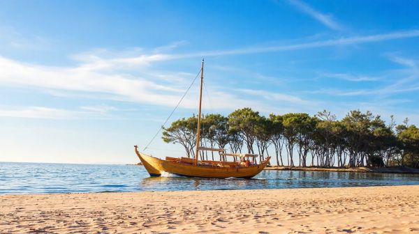Explorez Arcachon : Top 5 sorties en pinasse inoubliables