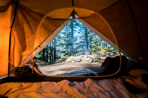 Quels sont les conseils pour un camping en région de forêt tropicale en été?